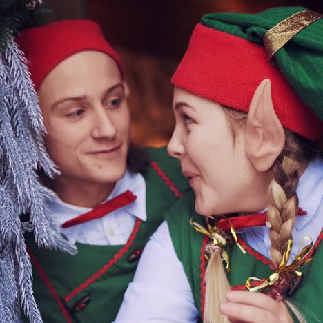 elves opening door