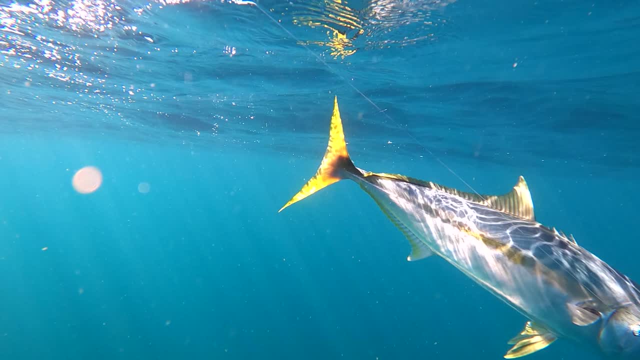 Ein Fischer kämpft mit einem Gelbschwanz im offenen Meer, Lichtstrahlen durchdringen die Wasseroberfläche.