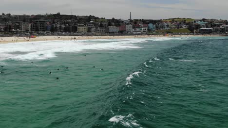 surfers waiting for big sea wave with bondi beach in background, australia