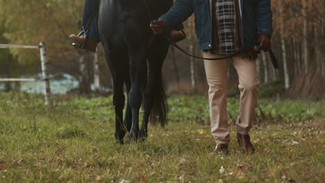 woman sitting on a horse near the woods