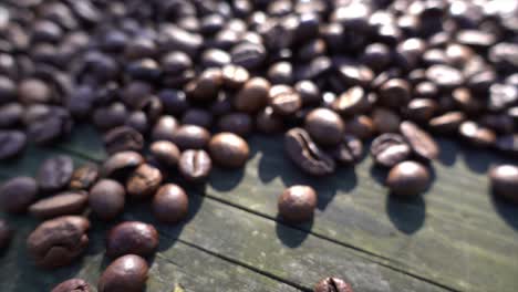 Close-up-of-seeds-of-coffee-04