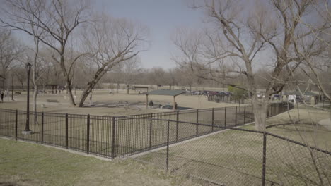 this is a wide shot of dogs playing and running in a dog park