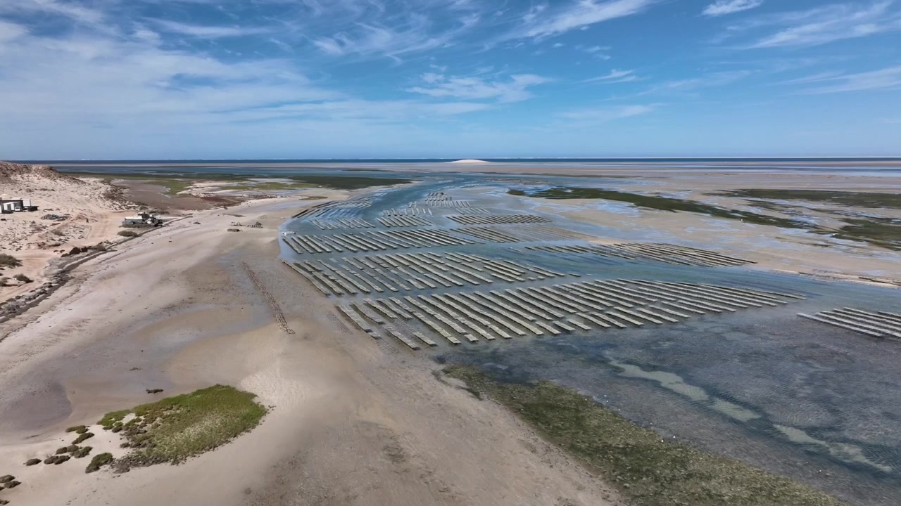 Drone aerial panorama of shellfish aquaculture farms and coastal wetlands in Dakhla Lagoon, showcasing sustainable marine farming within one of Morocco's most remarkable Atlantic coastal ecosystems.