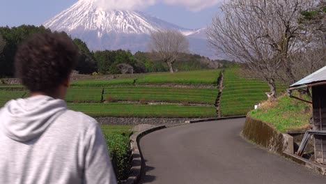 Inclinación-Lenta-Hacia-Arriba-Sobre-Los-Campos-De-Té-Verde-De-Obuchi-Sasaba-Con-El-Nevado-Monte-Fuji