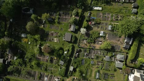 allotments birds-eye-view spring aerial overhead cotswolds uk spring