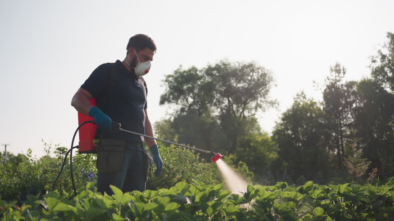Giardiniere che indossa maschera e guanti, irrora le colture con uno spruzzatore a zaino mentre guarda la telecamera in un campo soleggiato, trasmettendo un lavoro di controllo dei parassiti protettivo e vigilanza.