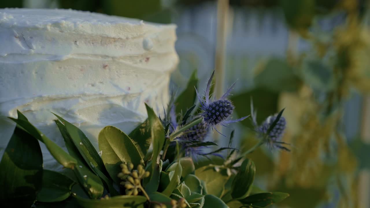 White wedding cake covered in green leaves at an outdoor summer wedding reception
