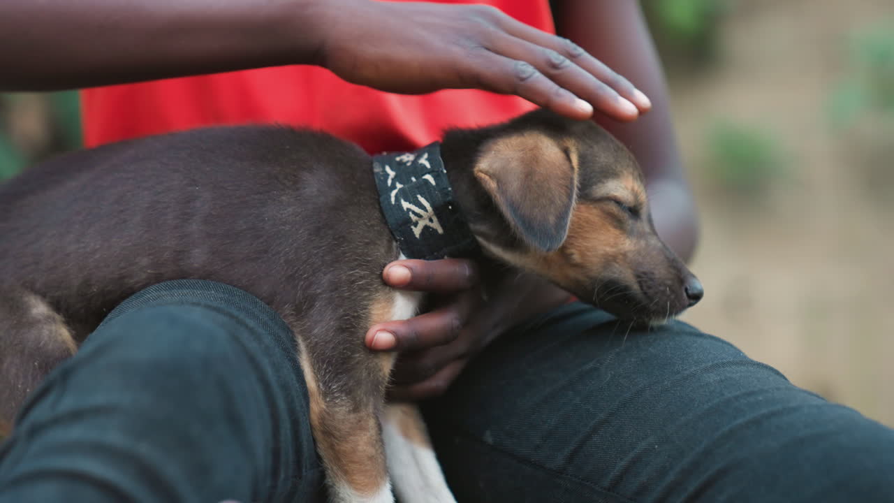 Bambino nero che accarezza un cucciolo in grembo. Primo piano intimo di un giovane bambino nero in maglietta rossa che accarezza delicatamente un piccolo cane da soccorso marrone con un collare a fantasia, le mani che gli accarezzano la testa, seduto all'aperto in jeans.