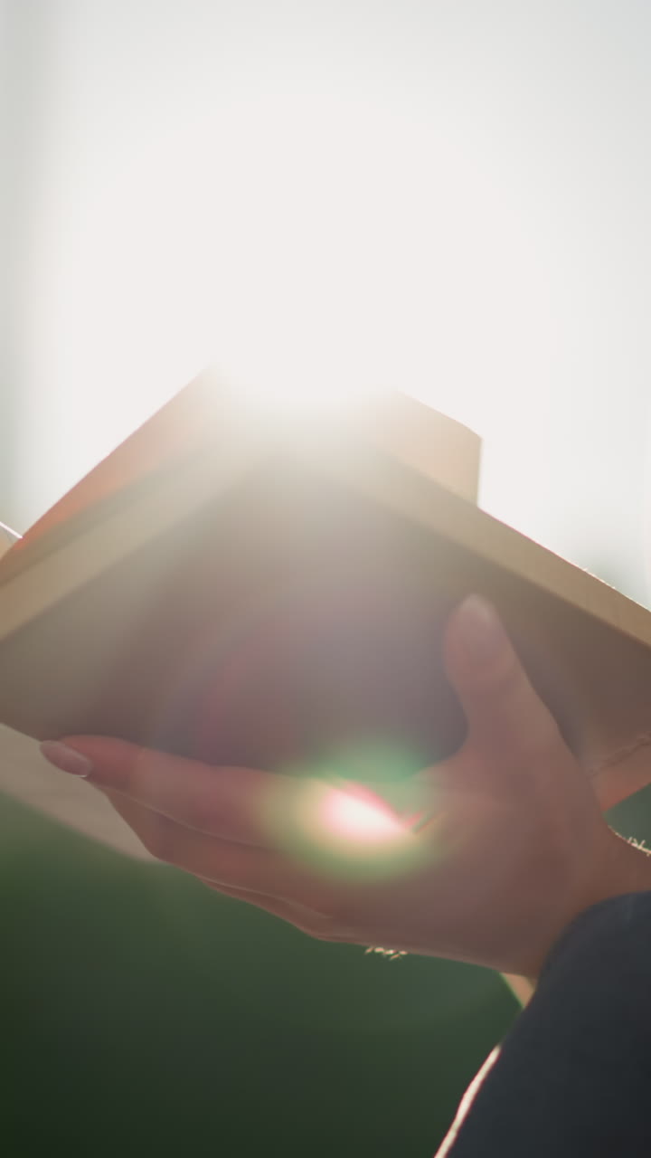 빛은 밖에서 앉아있는 검은 봉투를 입은 여성이 들고 있는 책의 페이지에서 반사되며, 바람은 개방된 페이지를 가게 불어넣습니다. 배경은 부드럽게 흐릿합니다.