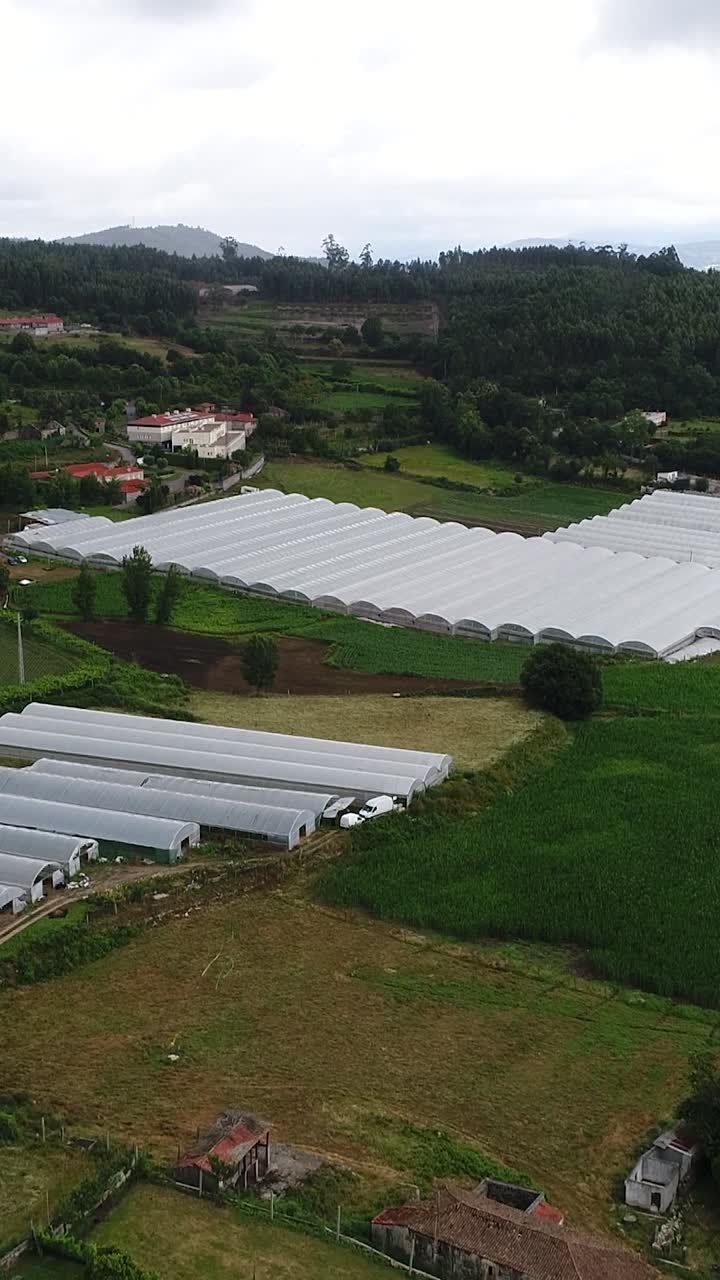 Aerial View of Extensive Greenhouses in a Rural Landscape