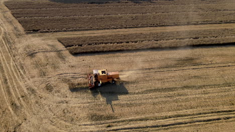 vuelo aéreo sobre la máquina de cosecha durante el trabajo en el campo agrícola
