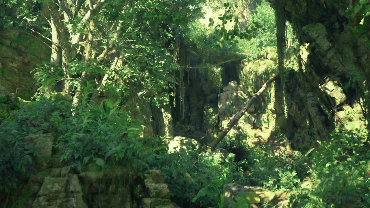 Lush green forest landscape showcasing diverse vegetation and natural beauty