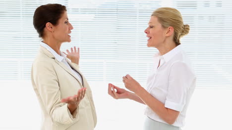 mujeres de negocios teniendo un acalorado debate