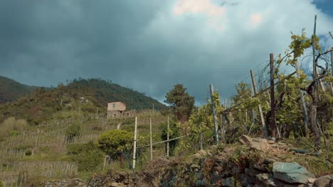 Cinque-Terre-Corniglia-Vineyards-and-rustic-charm-under-cloudy-skies