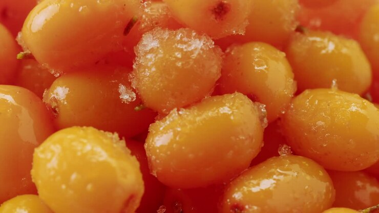 Olivello spinoso: bacche salutari per infusi, bacche mature congelate in barattolo di vetro e rami con foglie, vista dall'alto su sfondo rustico in legno scuro, ottimo per pelle, cuore, vasi sanguigni e sistema immunitario. Spazio per il testo.