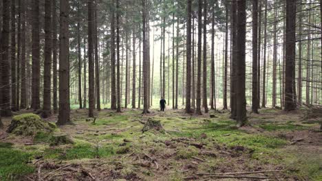 man with a backpack walks through a spring forest