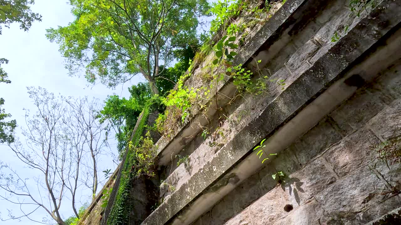 pared de piedra con plantas y árboles en el parque