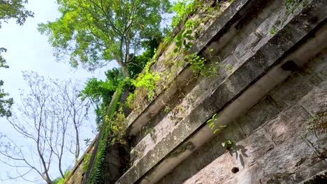 stone wall with plants and trees in park