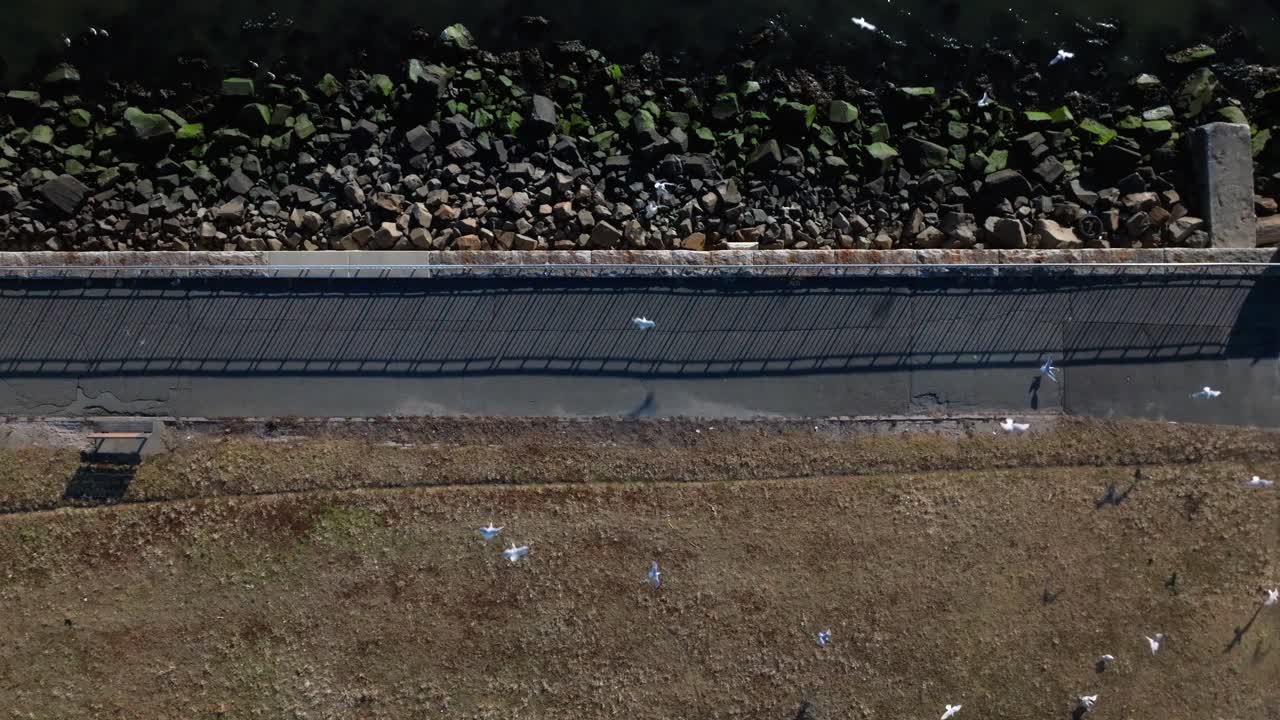 브루클린, ny 의 해가 비는 날 에 저류 에 있는 그레이브센드 만 에 있는  비어 있는 공원 의 공중 풍경