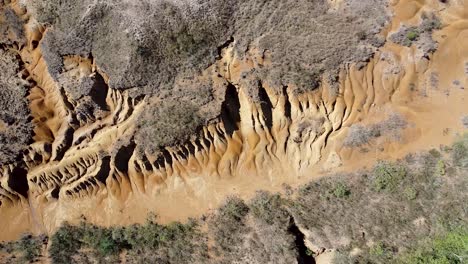 patterned formation in sandy or dirt terrain