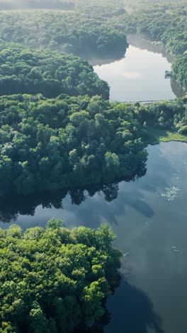clear turquoise water of pond surrounded by trees and plants