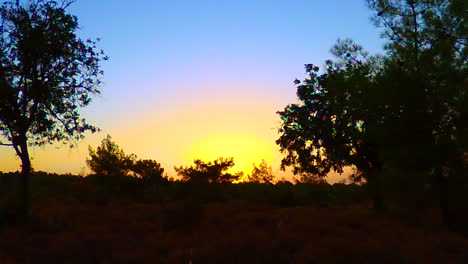 Ich-Konnte-Es-Mir-Nicht-Verkneifen,-Bei-Einem-Waldspaziergang-Um-06:00-Uhr-Einen-Weiteren-Sonnenaufgang-Zu-Erleben