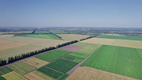 agriculture food production, plantation from up above