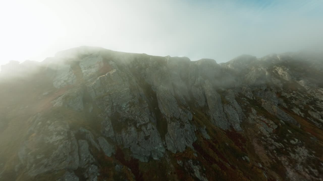 FPV flight above wild beech forest and foggy valleys
