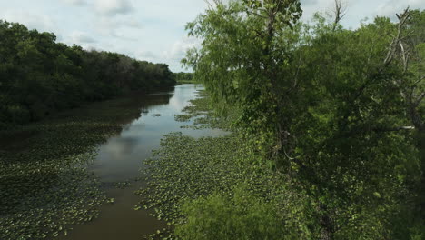 spile lake - wetland habitat with vegetation in osage township, missouri