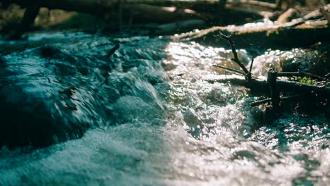 Naturaleza--Vista-De-La-Corriente-De-Agua-Que-Fluye-Sobre-Las-Rocas-Y-El-Tronco-De-Madera-Caído