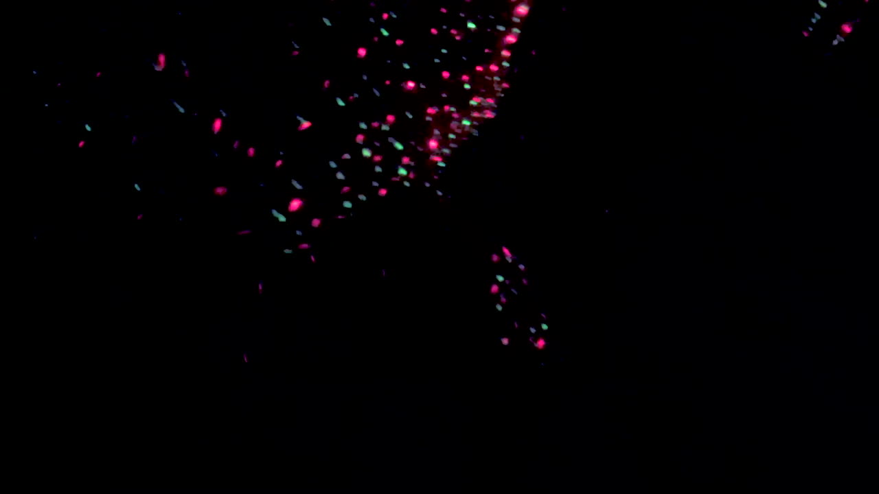 검은 방의 두 번째 클립 조명