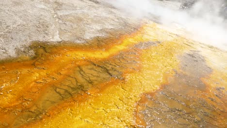 dutch tilt closeup of trickling water from vibrant yellow orange geyser at yellowstone national park