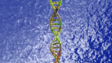 3d structural model of a dna double helix. isolated looped rotation of a dna molecule with copy/empty space around for your text or description.