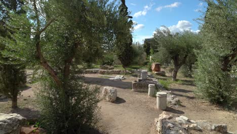 Little-Olive-Trees-Growing-in-Kerameikos