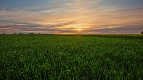 Eine-Wiese-Neben-Einem-Rapstropfen-Mit-Einem-Dunstigen,-Goldenen-Sonnenuntergang-Am-Horizont---Weitwinkel-Zeitraffer