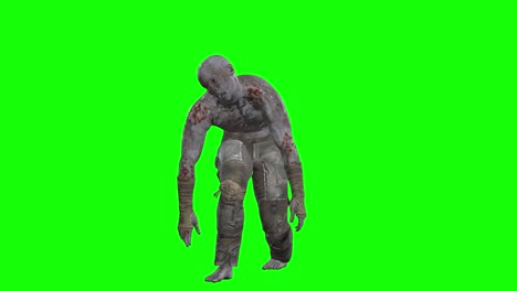 zombie masculino en 3d caminando en pantalla verde circuito sin costuras animación en 3d, vista delantera