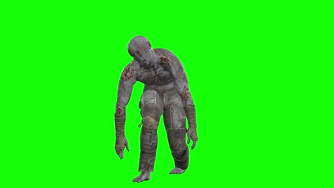 3d male zombie walking on green screen seamless loop 3d animation, front view