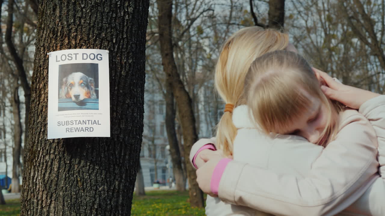 엄마는 나무에서 개를 잃은 소녀를 달래다 실종된 강아지에 대한 발표를 걸다