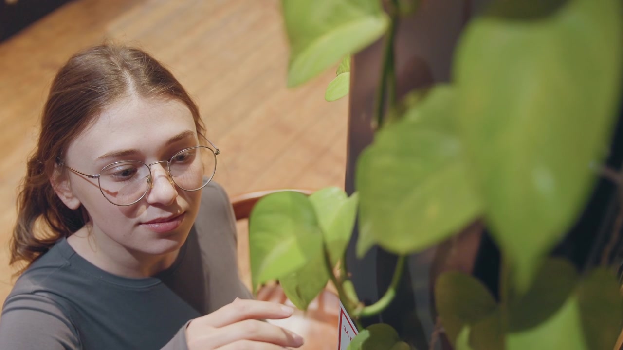 Donna che si prende cura attentamente di una pianta verde vibrante. Giovane donna premurosa che si occupa delicatamente di una lussureggiante pianta da interno. Scena pacifica di una giovane donna che nutre teneramente la sua rigogliosa pianta domestica.