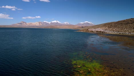 Aerial-view-over-of-Quisi-Quisini,-Lauca-National-Park-in-Chile---dolly-forward,-drone-shot