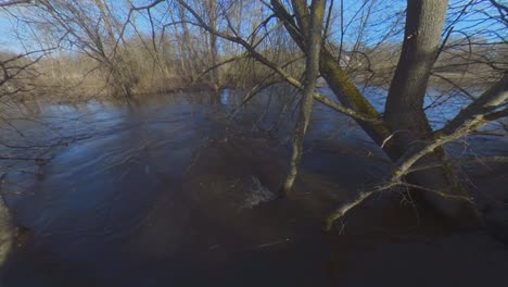 árboles sin hojas en el río en primavera