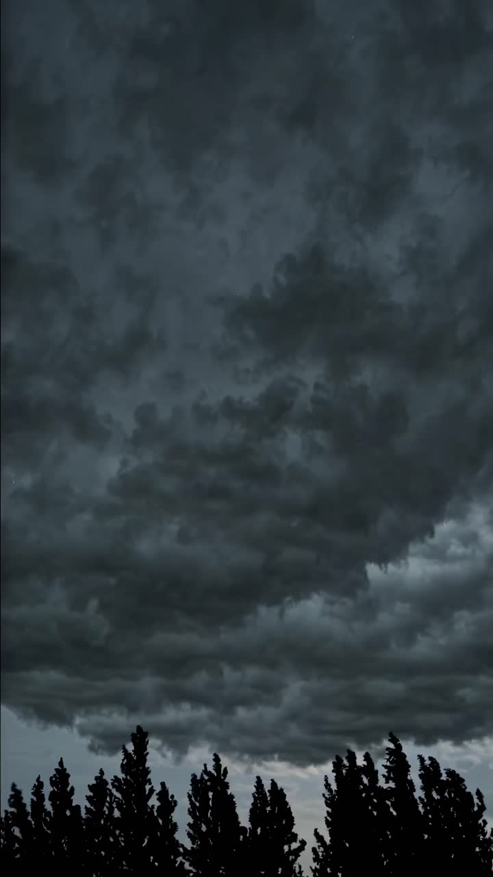 Dramatic video capture of lightning striking through stormy clouds above silhouetted trees, shot
