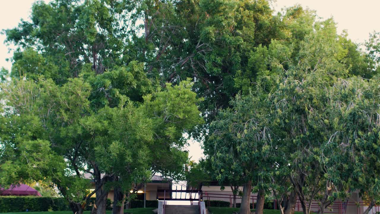 Tilt Down Tree To Stairs