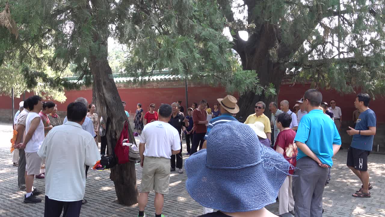Grupo de personas mayores cantando al aire libre en un parque