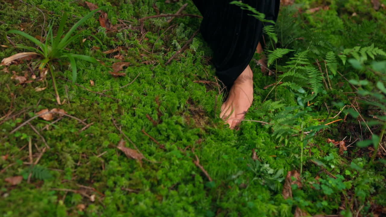 Delicate female feet walking in summer. Young girl's bare feet feeling the softness of the green moss. Female's legs on soft moss in the woods. Natural beauty.