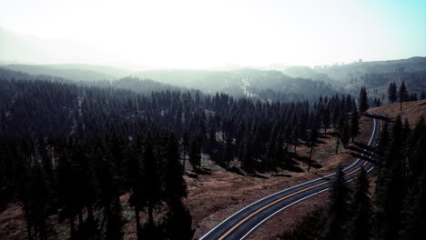 Vista-Aérea-Natural-De-La-Carretera-Y-El-Bosque-En-Otoño