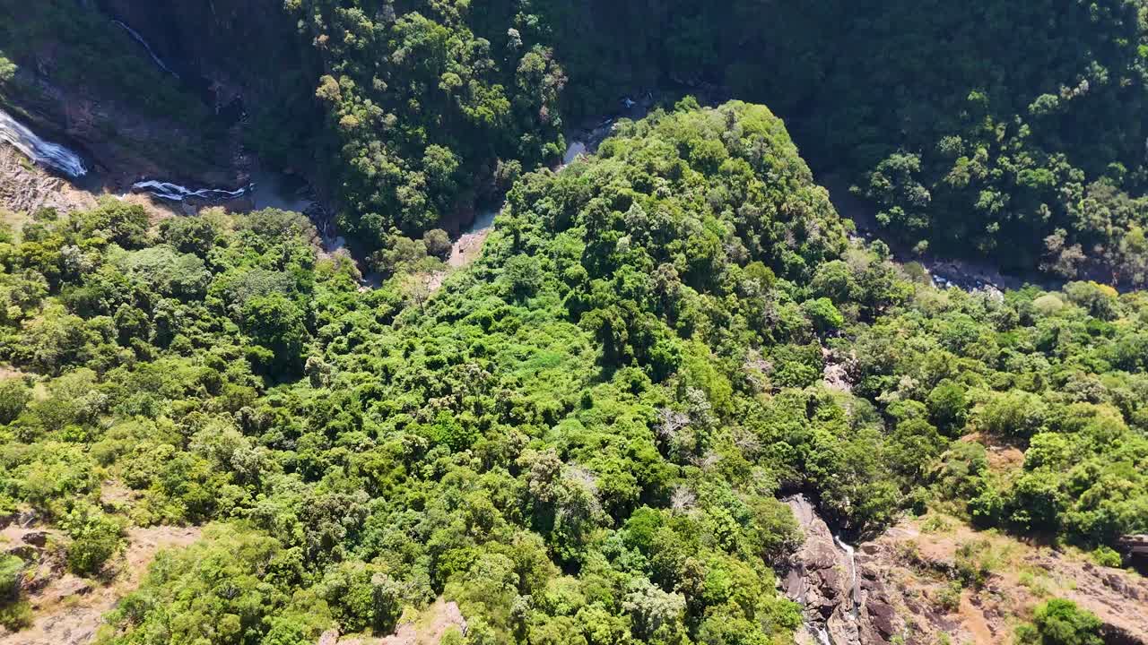 Aerial footage captures the vibrant green canopy of the Daintree Rainforest, showcasing dense foliage and rugged terrain under bright sunlight