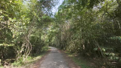 Cat Tien National park Vietnam driving road trail POV tropical forest Southeast Asia