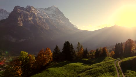 aerial drone footage pushing in over spruce and sycamore trees revealing view of grindelwald and eiger north face, switzerland