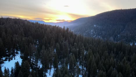 Luftaufnahme-Des-Waldes-Der-Cariboo-Region-Im-Wintersonnenaufgang